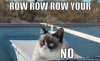 Row your boat meme.jpg